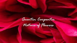 Flower Photographs on Canvas by Quentin Carpenter Natureofflowers