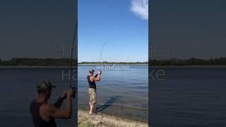 Что вас ждет на рыбалке #fishing #car#рыбалка #carping#улов#рыба#отдых #путешествия#карп #automobile