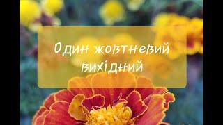 (SUB) Один жовтневий вихідний. Збір врожаю. Квіти на осінній клумбі