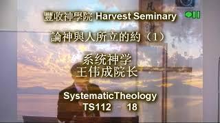 TS112   18 系统神学 1 Systematic Theology 1 王伟成院长 讲道解经 豐收神學院