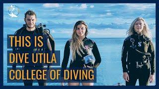 DIVE UTILA - With College of Diving and Utila Lodge