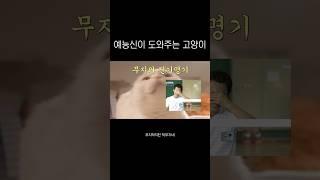 무지의 진기명기ㅋㅋㅋㅋㅋㅋㅋㅋㅋㅋㅋㅋㅋㅋㅋㅋㅋㅋㅋㅋㅋㅋ #고양이 #cat #고양이일상 #고양이영상 #유머 #웃긴영상 #반려동물