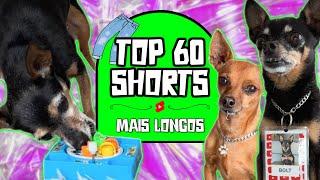 TOP 60 SHORTS MAIS LONGOS NUNCA POSTADOS NO CANAL!