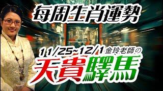 2024生肖運勢週報｜11/25-12/1｜金玲老師（有字幕）