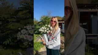 Что не поздно посадить в сентябре?Расскажет агроном Оксана Сердечная в новом ролике на нашем канале!