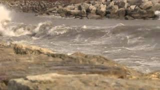 Video: Surfers at Bluffers Park