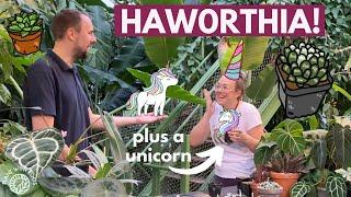 All about Haworthia - plus a unicorn comes my way | Plant with Roos