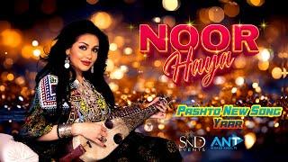 Pashto New Song Yaar  | Noor Haya