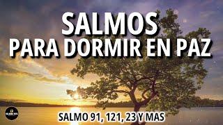 Salmos & Proverbios para dormir en paz | Duerme escuchando la palabra de Dios | Biblia hablada