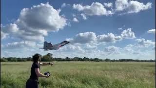 Freewing F-22 90mm Hand launch