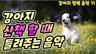 강아지음악  -강아지 산책 할 때 들려주는 즐거운 강아지 음악 (강아지 행복 음악)