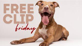 Free Clip Friday: Heeling & Biological Fulfillment