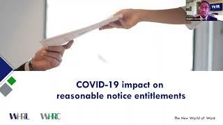 Sheldon Jean Baptiste - COVID-19 Impact on Reasonable Notice Entitlements