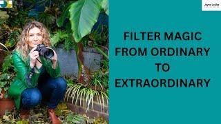 How To Elevate Your Photography With Different Filters