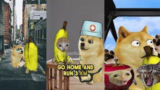 Silly Banana Cat And Friends Compilation 4K meme 