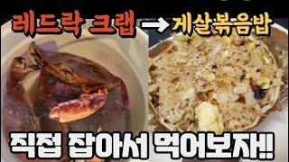 게를잡아서 게살볶음밥 을 만들어보자!!(초보자도가능) Catch and cook crabs! making fried rice with real crab meat.(Canada)