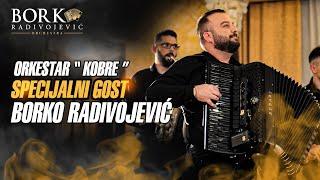 Orkestar “Kobre”, specijalni gost Borko Radivojevic