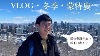 【加拿大交換Vlog】零下15度的冬季蒙特婁之旅