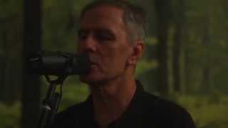 Robert Forster - Let Me Imagine You (official)