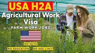 Farm Work Jobs in USA 2023 - H2A VISA Complete Guide