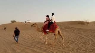 Desert Safari in Dubai - Travel Saga Tourism