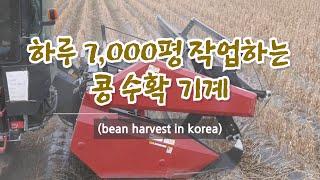 하루 7000평 작업하는 콩 수확 기계(bean harvest in korea) | 충북 괴산군 불정면