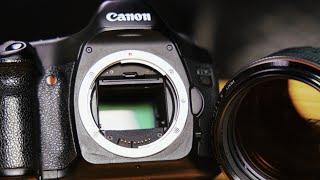 Best Sensors of All Time, Pt 1: Canon 5D Classic