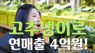 [역전의부자농부 345회] 고추냉이 농장 운영으로 연 매출 4억 원! 경북 문경 고동환 부자농부
