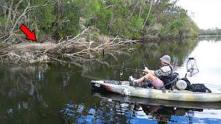 This Tiny River has Giant Fish!!