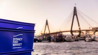 EXPERIENCE SYDNEY FISH MARKET