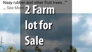 2 Farm lot for Sale