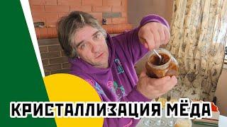 Кристаллизация меда: секреты и мифы