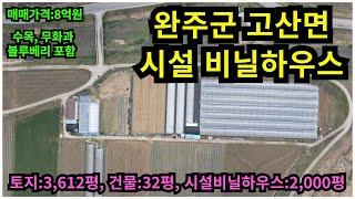 #매물번호:2024-081# 완주군 고산면 시설비닐하우스와 주택 그리고 토지, 토지:3,612평, 시설비닐하우스:2,000평,관리사:32평,매매금액:8억원.