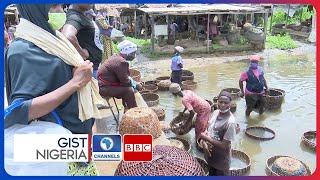 Nigeria's 'Bushmeat' Market ; The Many Concerns