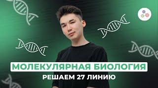 Разбор задач 27 линии. Палиндромы // БИОЛОГИЯ // ЕГЭ-2024 // NEOFAMILY