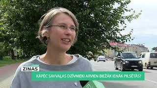 Latvijas ziņas (11.08.2020.)