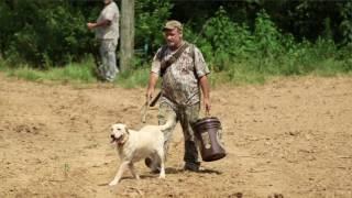 Dove Season - TWRA East TN Outdoors