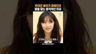 반려견 꼼이가 표예진의 발을 핥는 이유
