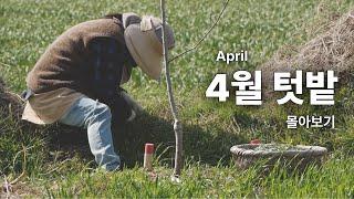 April Natural Gardening / Spring in April is either too cold or too hot to plant seedlings.