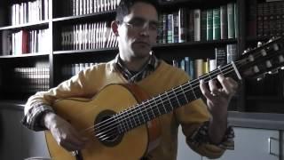 2014 Alejandro Vazquez Flamenco Guitar (Reyes Model) - Demo