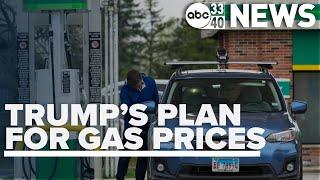 How Trump plans to bring down gas prices