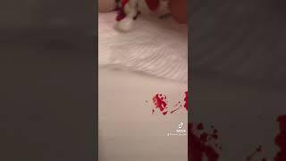 LPS Blood scary video WARNING ️ FAKE BLOOD!