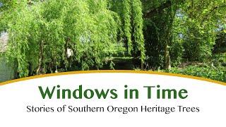 Stories of Southern Oregon Heritage Trees (Windows in Time)