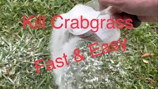 How to Kill Crabgrass Without Affecting Your Lawn Fast & Easy