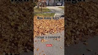 Pile of [LEAVES] How many yard bags needed? #shorts #satisfying #lawncare #cleaning #leaves