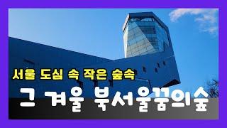 [4K 60P] 겨울 북서울꿈의 숲이야기 #북서울꿈의숲 #꿈의숲전망대 #서울여행