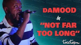 daMOOD - "Not Far Too Long" | Treetop Studio Tour