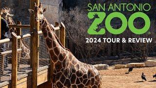 Full Tour & Review of the San Antonio Zoo (2024) | Over 3,500 Animals & 750 Species to See