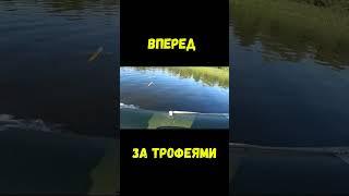 вперед за щуками#shorts  #риболовля #спінінг #щука #щука