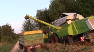 Hafer und Roggen dreschen mit Claas Mega 350